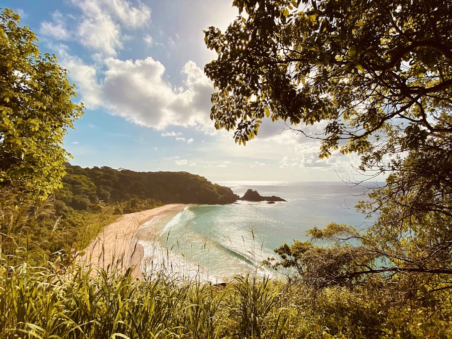 Fernando de Noronha — Brazilian Northeast
